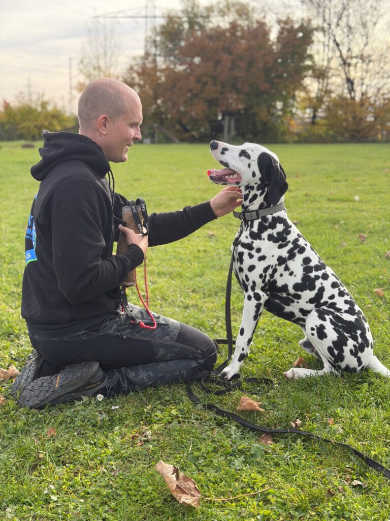 Mach Deinen Hund zu Jemandem